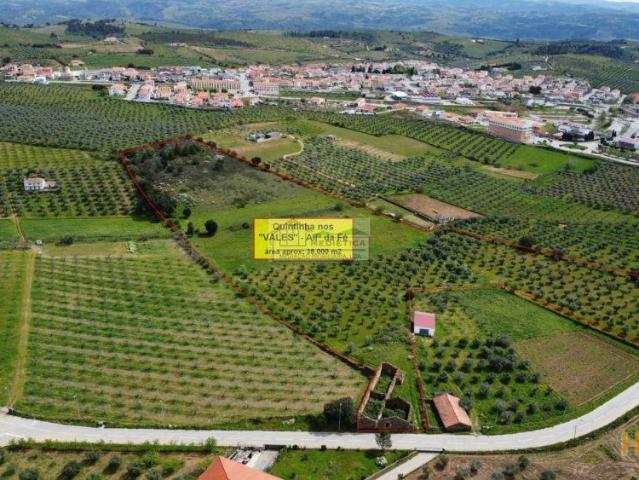 Quinta venda em Alfândega Da Fé, Bragança