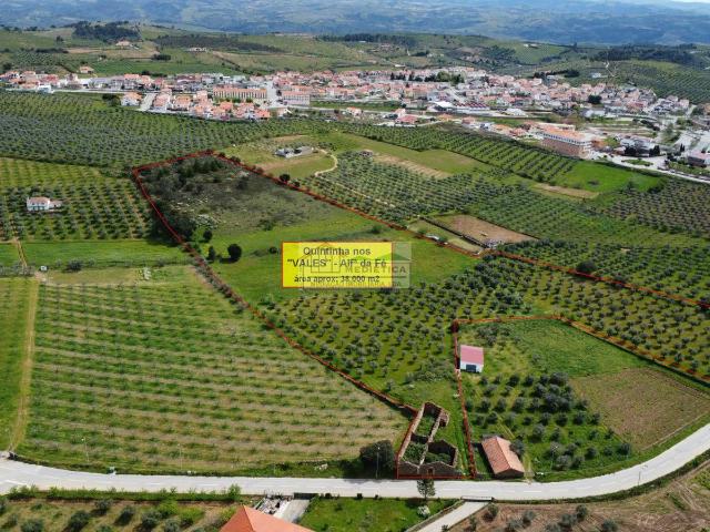 Quinta venda em Alfândega Da Fé, Bragança