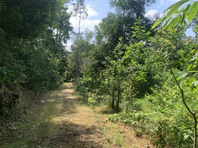 Terreno venda em Aveiro