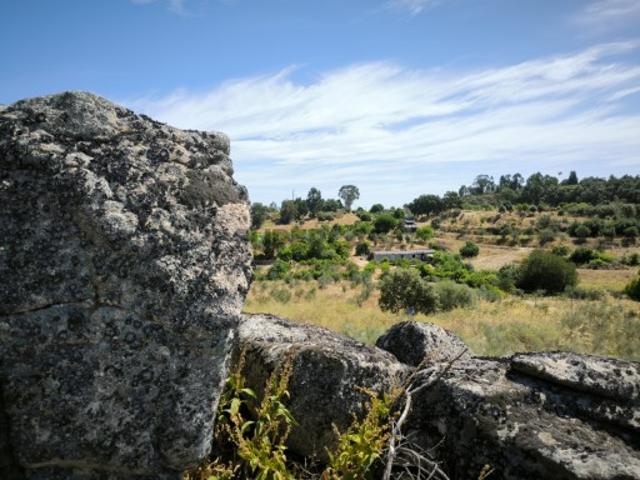 Casa venda em Castelo Branco