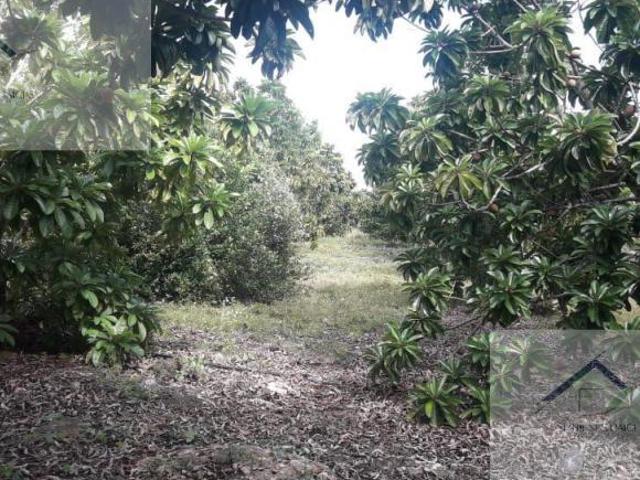 Quinta Pueblo Mococha