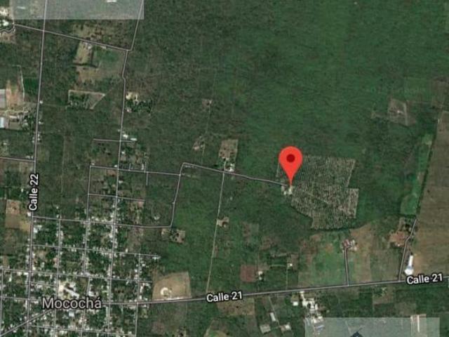 Quinta Pueblo Mococha