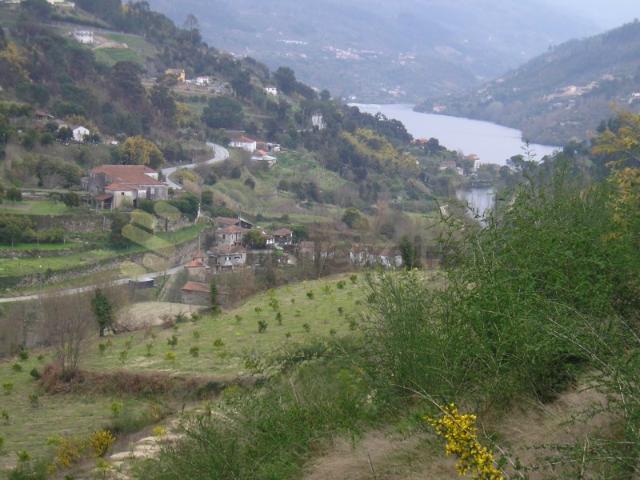 Quinta venda em Paços de Gaiolo, Porto