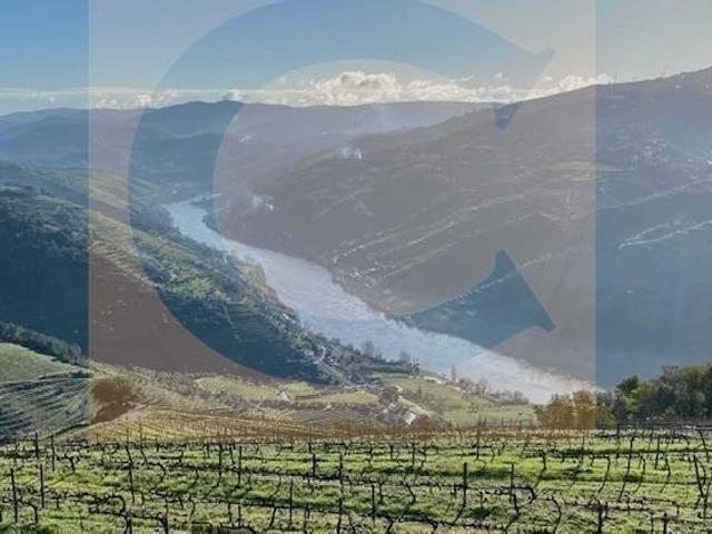 Quinta venda em São Nicolau, Vila Real