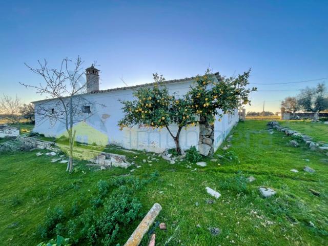 Quinta venda em Bairro António Festas, Redondo
