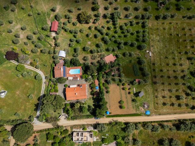 Vivenda venda em Montemor-o-novo, Évora