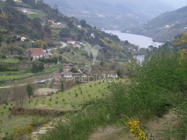 Quinta venda em Marco De Canaveses, Porto