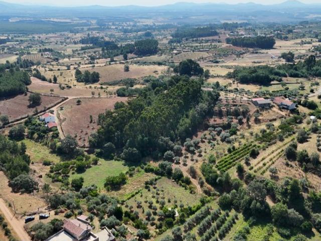 Quinta venda em Castelo Branco, Aldeia Nova Do Cabo
