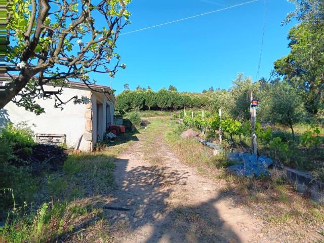 Quinta venda em Mação, Santarém