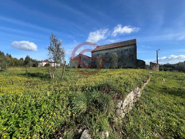 Quinta venda em Tábua, Coimbra