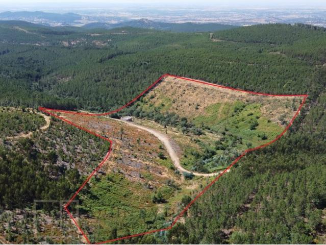 Quinta venda em Portalegre