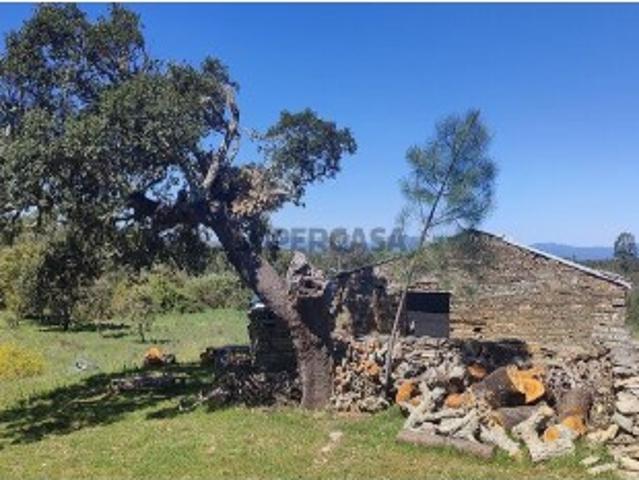 Casa venda em Castelo Branco