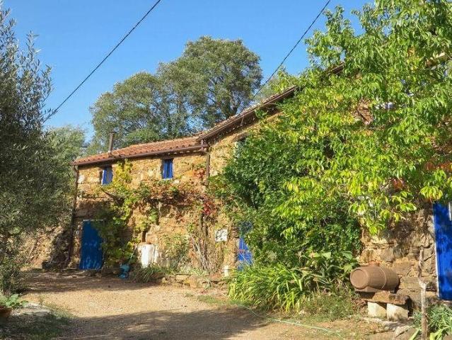 Vivenda venda em Figueiró Dos Vinhos, Leiria