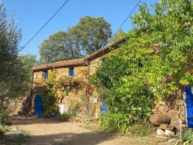 Quinta venda em Figueiró Dos Vinhos, Leiria
