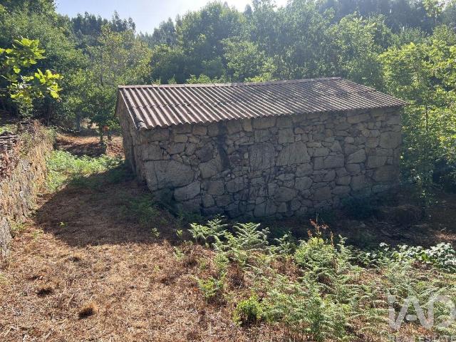 Quinta venda em Serrazes, São Pedro Do Sul