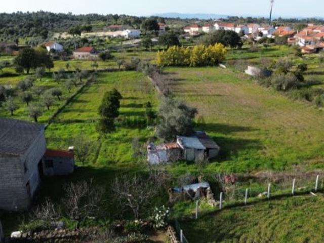 Terreno venda em Castelo Branco