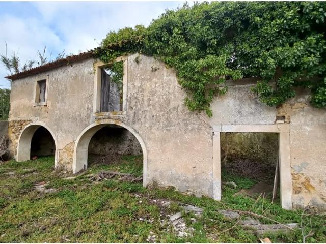 Quinta venda em Batalha, Golpilheira