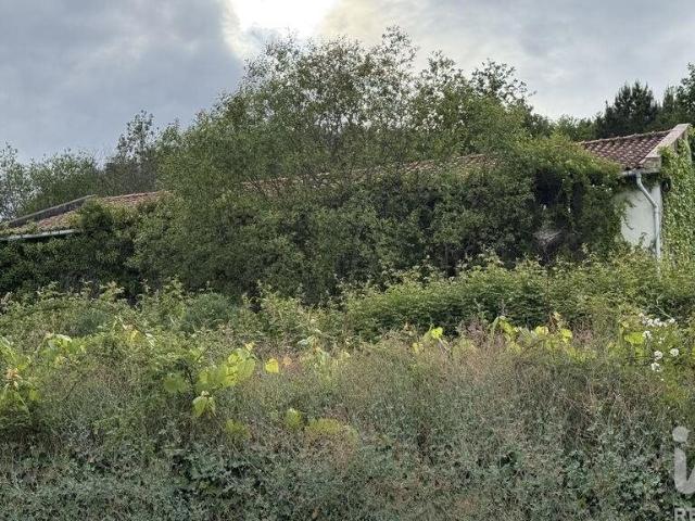 Vivenda venda em Vila Real