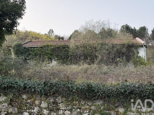 Casa venda em Vila Real