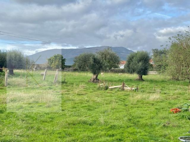 Quinta venda em Boalhosa, Viana Do Castelo