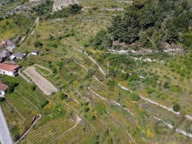 Terreno venda em Alijó, Vila Real