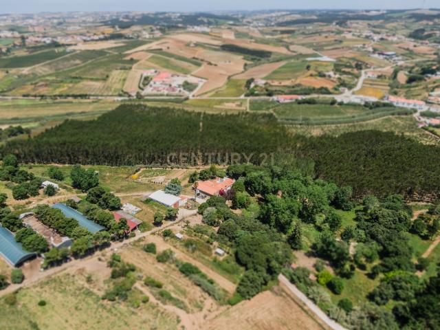 Quinta venda em Lourinhã, Lisboa