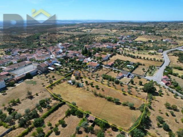 Terreno venda em Castelo Branco