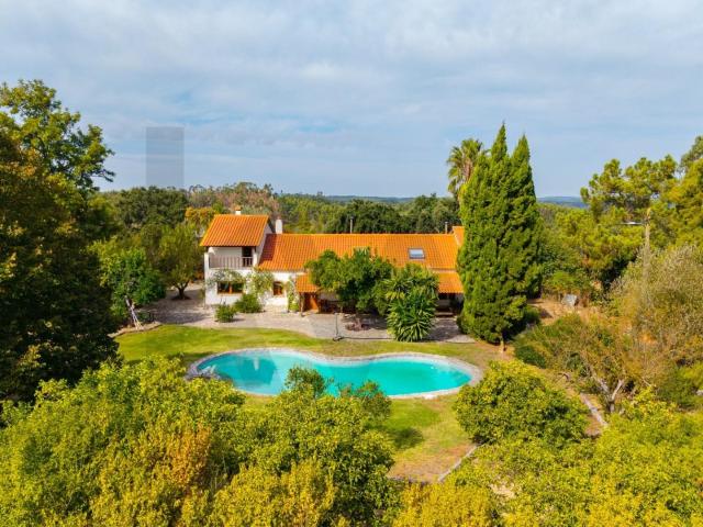 Quinta venda em São João da Ribeira e Ribeira de São João, Rio Maior