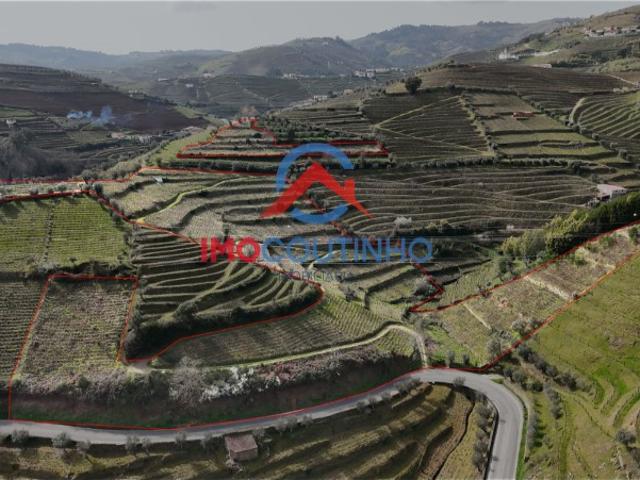 Quinta venda em Urval, Santa Marta De Penaguião