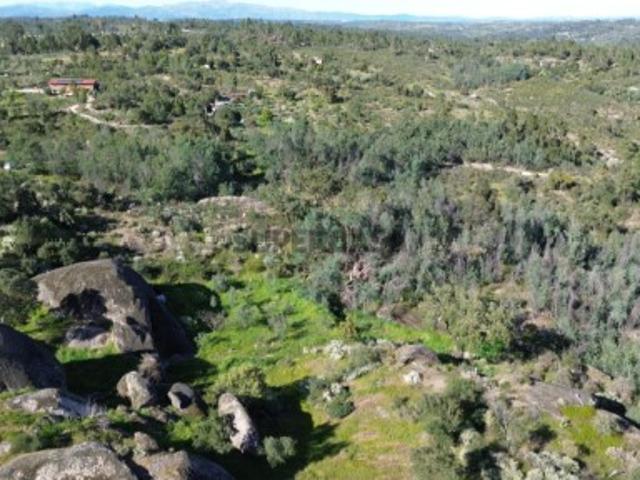 Terreno venda em Castelo Branco