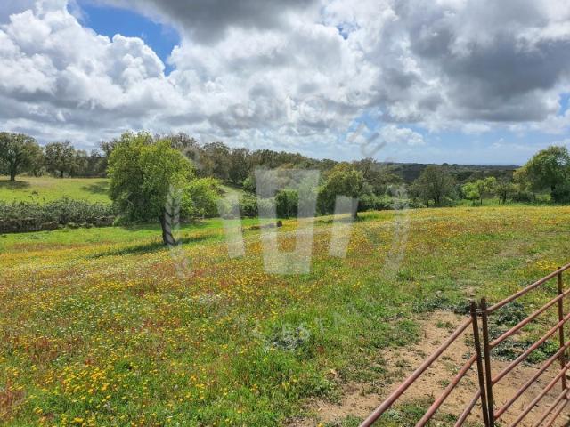 Quinta venda em Valinho, Santiago Do Cacém