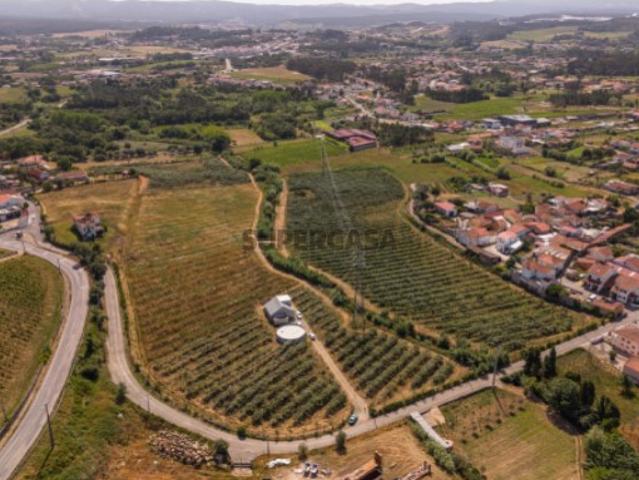 Casa venda em Anadia, Aveiro