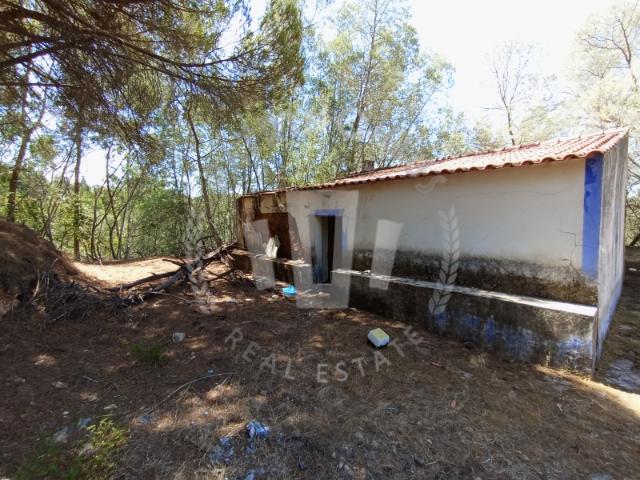 Quinta venda em São Teotónio, Odemira