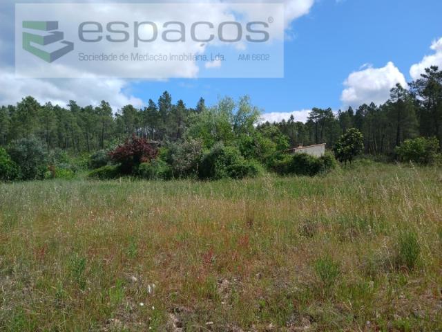 Quinta venda em Castelo Branco