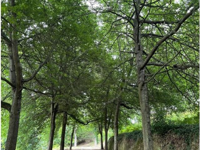 Quinta venda em Guimarães, Braga