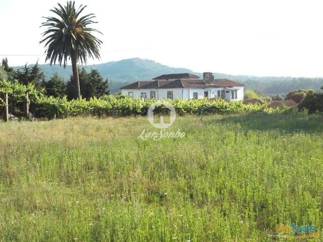 Quinta venda em Viana Do Castelo
