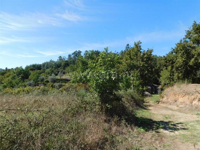 Quinta venda em Carragozela e Várzea de Meruge, Seia