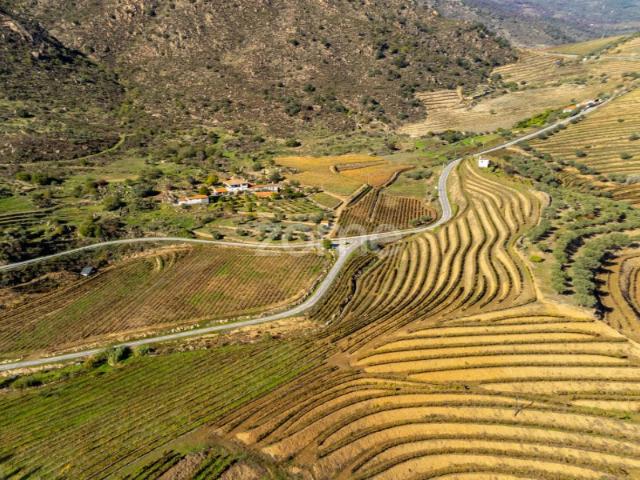 Quinta venda em Carrazeda De Ansiães, Bragança
