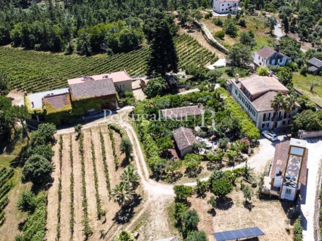 Quinta venda em Sertã