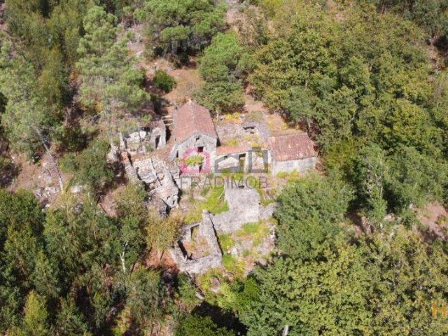 Quinta venda em Sever Do Vouga, Aveiro