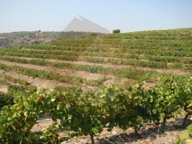 Quinta venda em Viseu