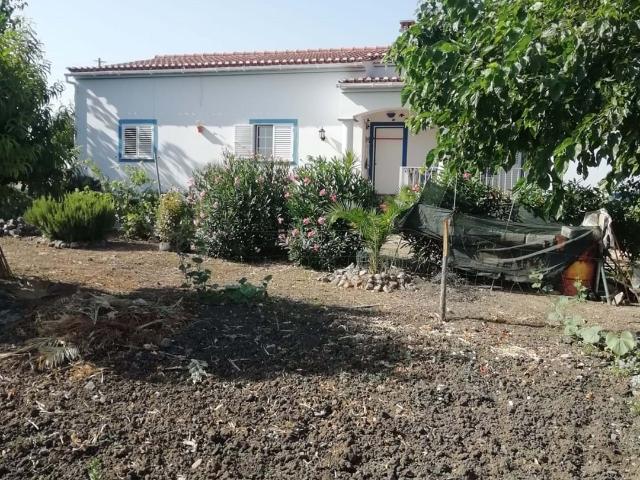 Quinta venda em Beja