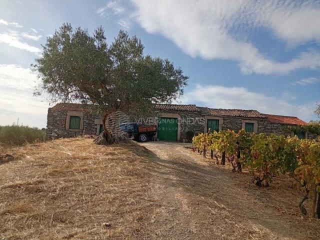 Quinta venda em Viseu