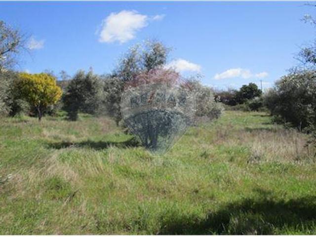 Quinta venda em Castelo Branco
