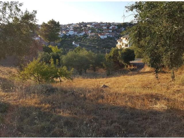 Quinta venda em Castelo Branco