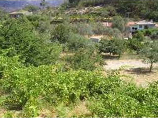 Quinta venda em Castelo Branco