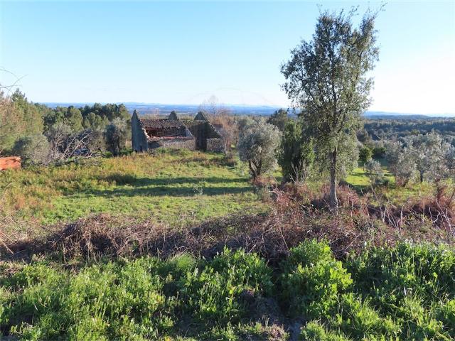Quinta venda em Castelo Branco