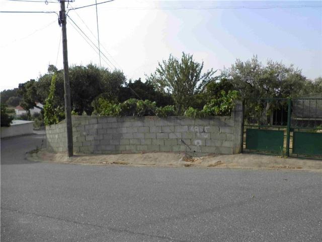 Quinta venda em Castelo Branco