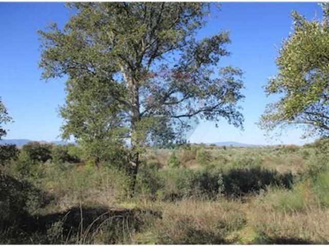 Quinta venda em Castelo Branco