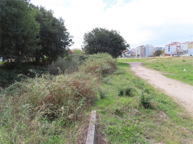 Quinta venda em Castelo Branco